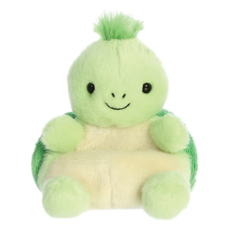 Tiny Turtle